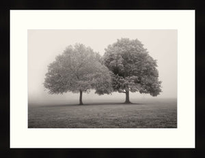 Framed Print - Lakewood Pk. Spring Fog I