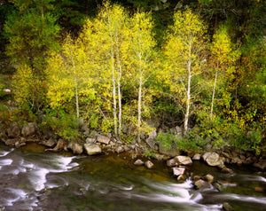Aspen Creek