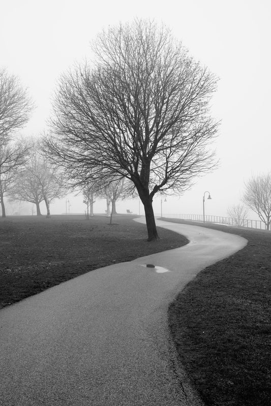 Lakewood Park Path