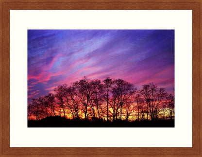 Framed Print - Last Light