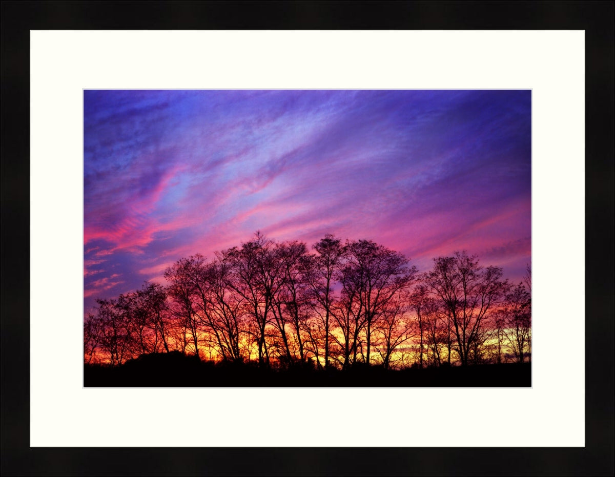 Framed Print - Last Light