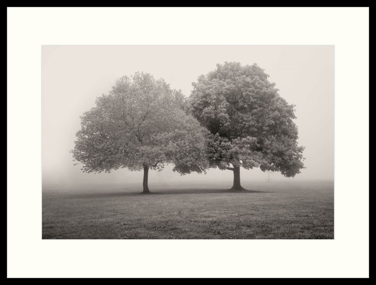 Framed Print - Lakewood Pk. Spring Fog I