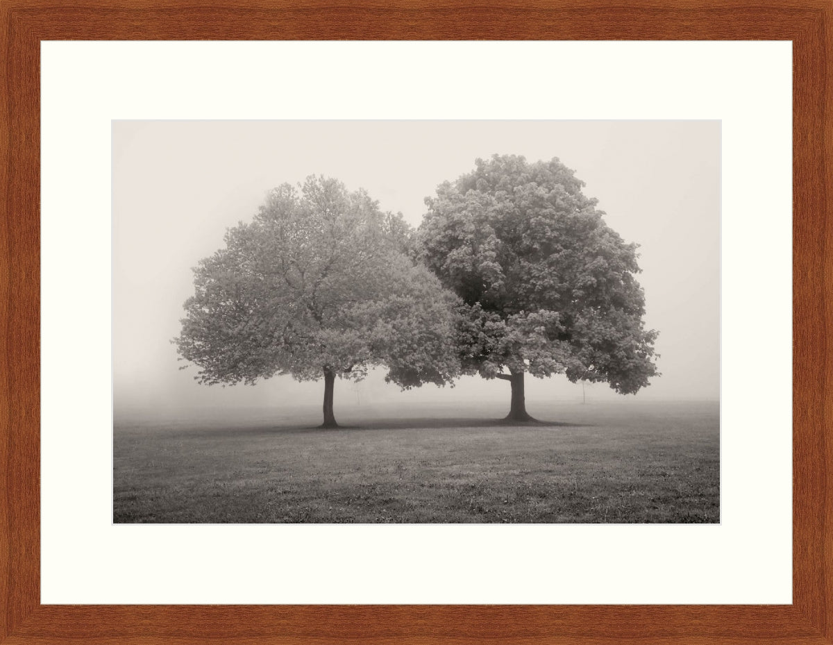 Framed Print - Lakewood Pk. Spring Fog I