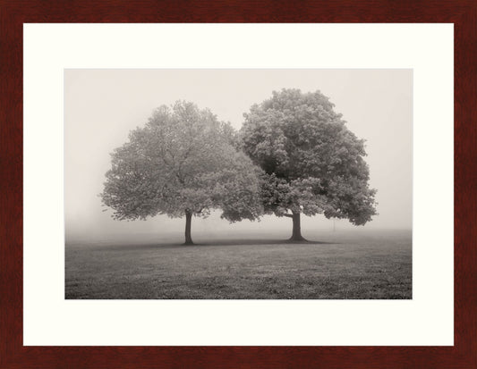 Framed Print - Lakewood Pk. Spring Fog I