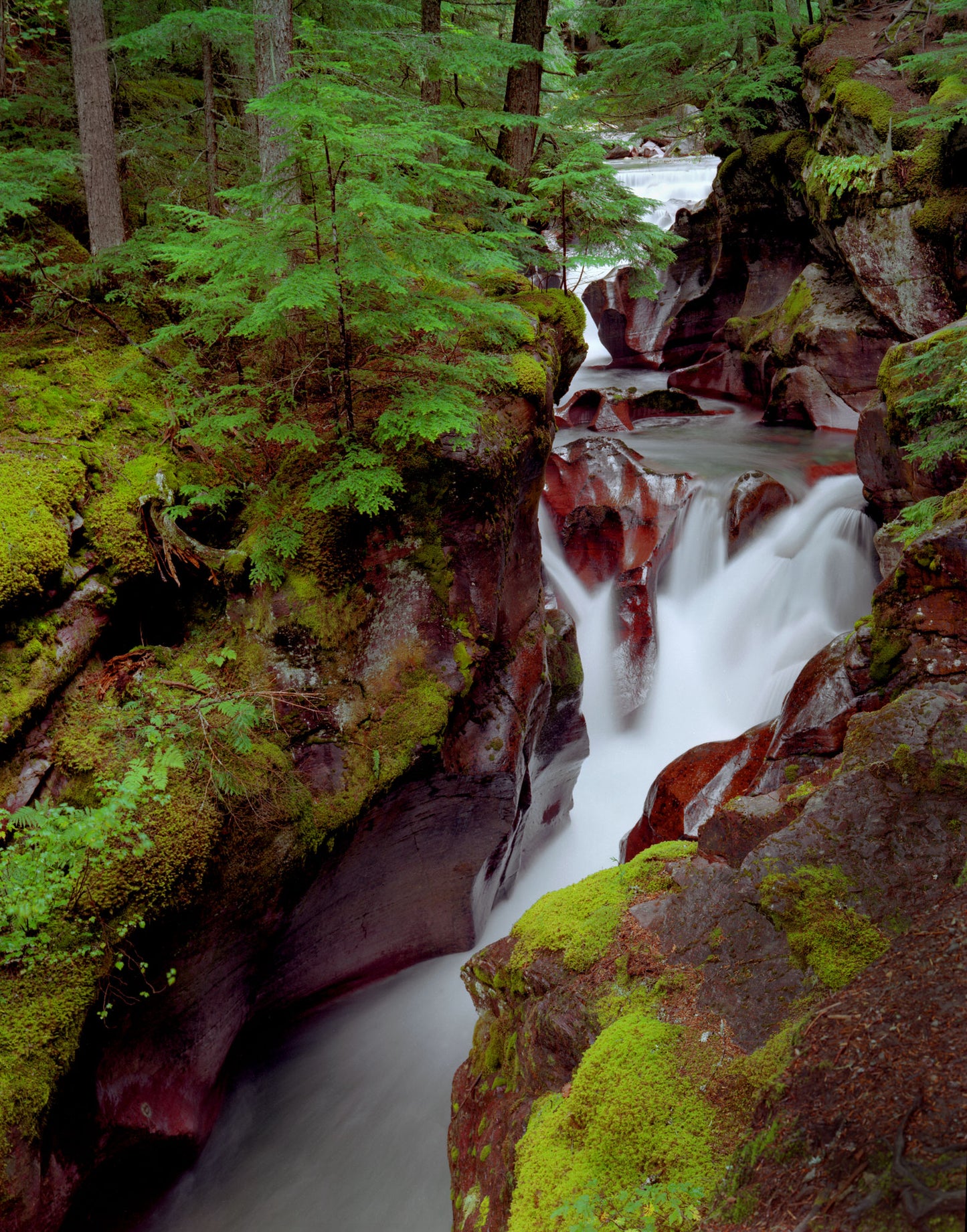 Avalanche Gorge I