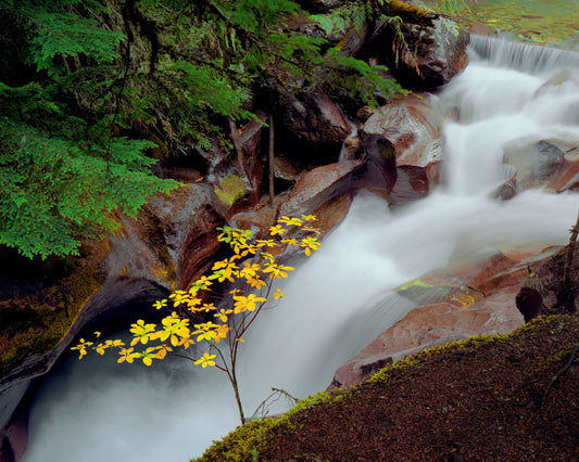 Avalanche Gorge II