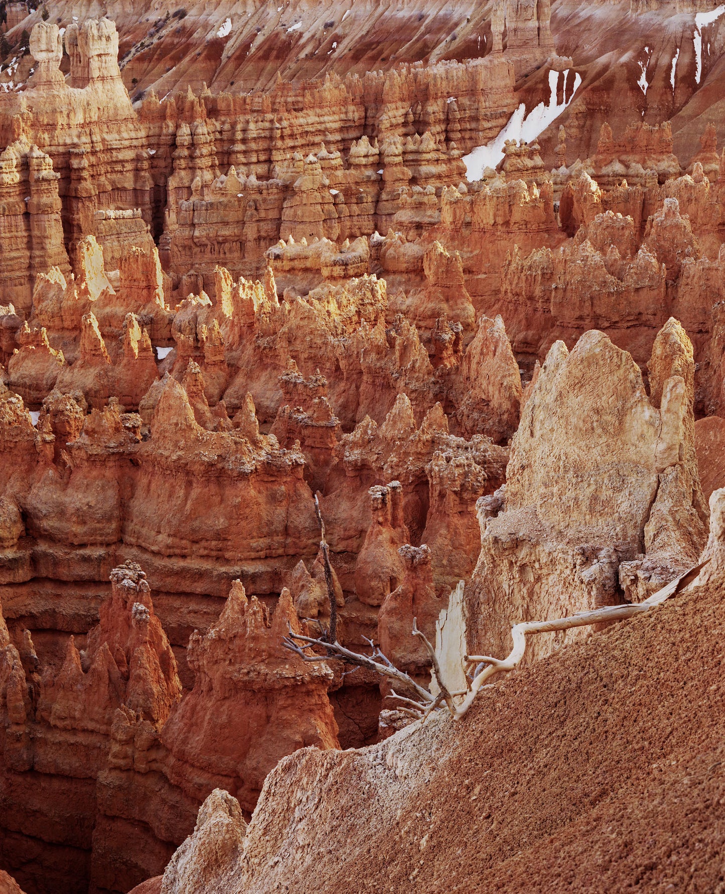 Bryce Canyon II